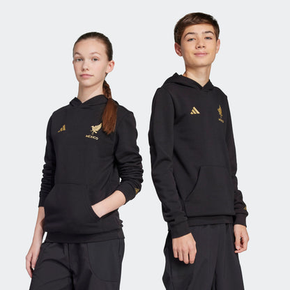 Adidas Mexico Gold DNA Hoodie Kids - JM2870
