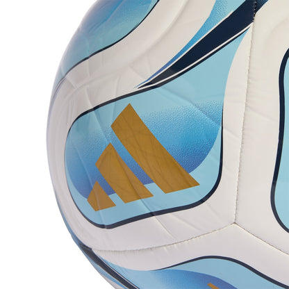 Adidas Argentina Club Home WC Ball JY0304