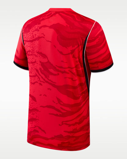 Nike 26/27 Men's South Korea Home JSY IU3861 679