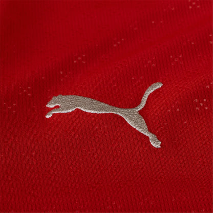 2025/26 PUMA Portugal Men’s Replica Home Jersey - 779190 01